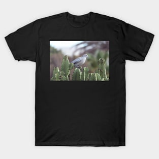 Bird on cactus T-Shirt